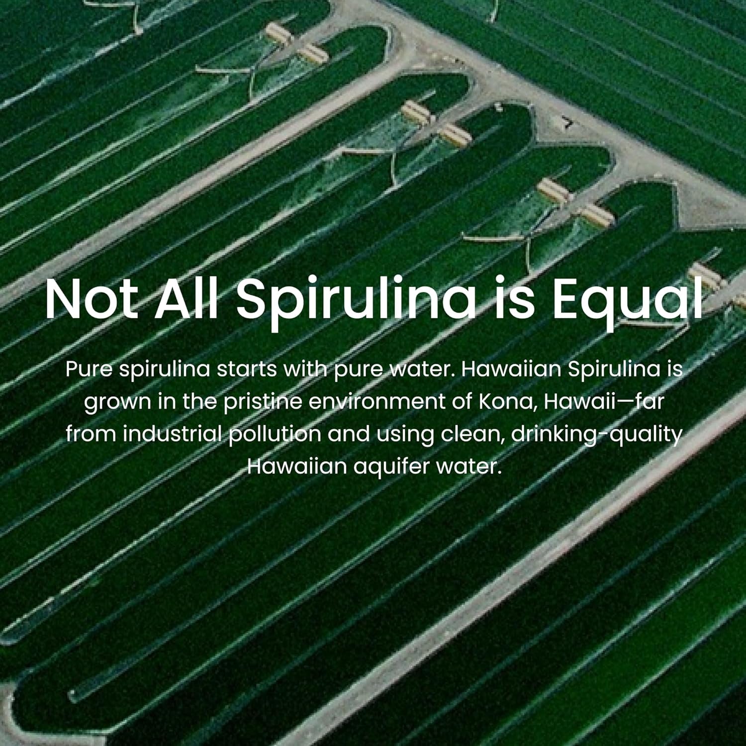 Nutrex Hawaii, Pure Hawaiian Spirulina 500 Mg, Vegan, Supports Immune System, Heart, Cells and Energy, 400 Tablets