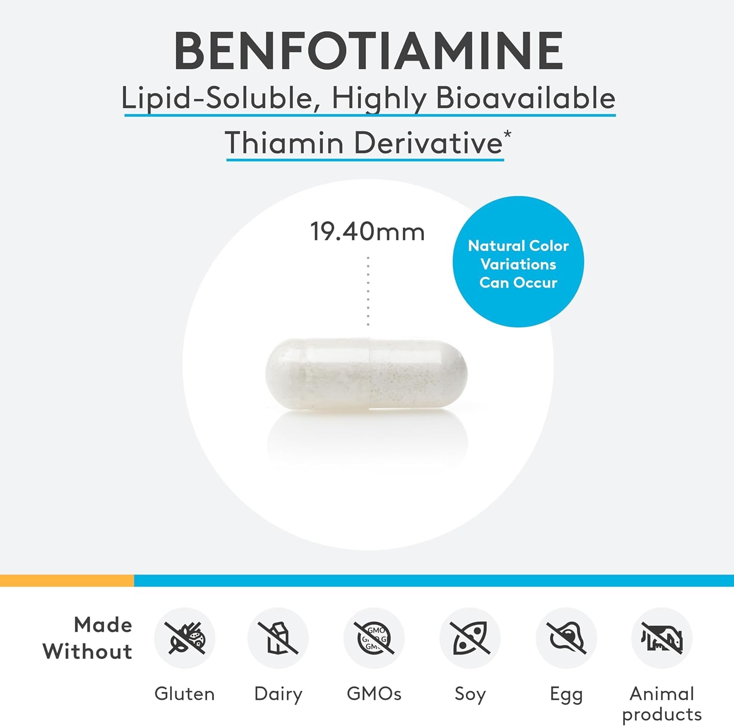 XYMOGEN Benfotiamine 300Mg - Highly Bioavailable Thiamine B1 Supplement Derivative to Support Metabolic, Nerve + Vascular Health (120 Capsules)