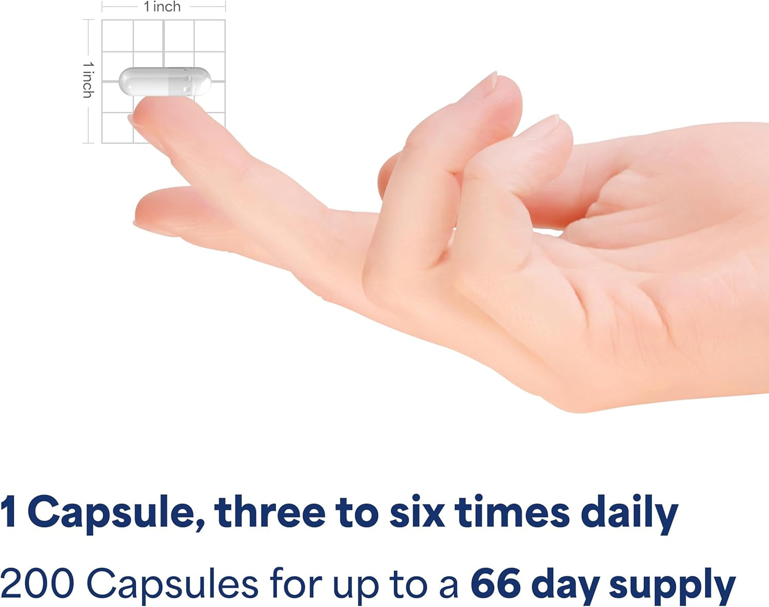 Puritan'S Pride Premium Echinacea Natural Whole Herb Herbal Supplement 400Mg, Dietary Supplement for Health, Immune System Support, 200 Rapid Release Capsules