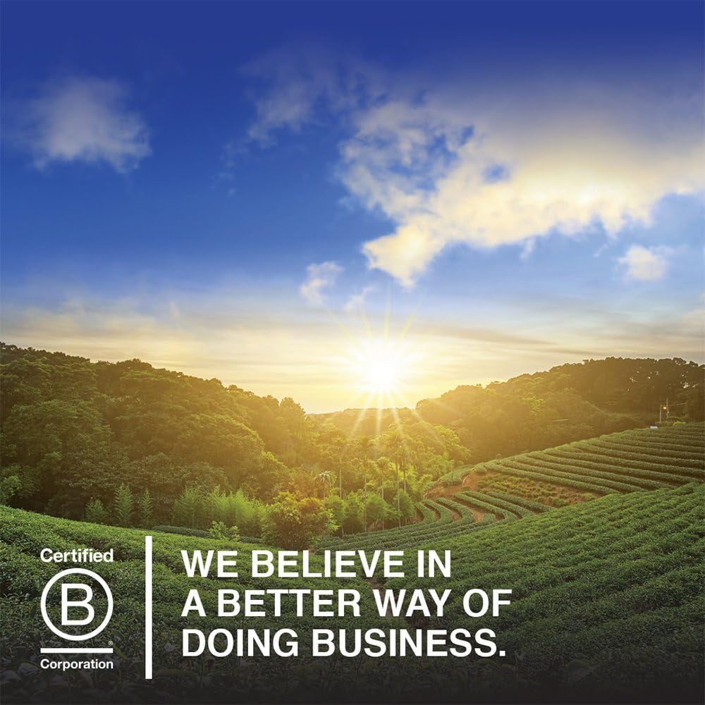 Garden of Life Olde World Icelandic Cod Liver Oil Liquid - Lemon Mint Flavor - 1,000Mg Omega 3 Fish Oil, Fatty Acids, EPA, DHA, Vitamin D & A, CLO Supplements for Hearth Health, 47 Servings