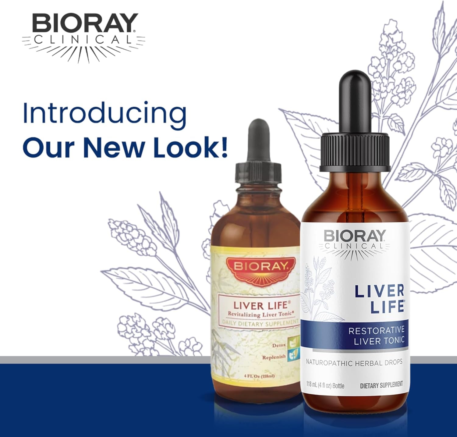 BIORAY Clinical Liver Life - 4 Fl Oz - Strengthens Liver Structure & Function - Non-Gmo, Vegetarian, Gluten Free