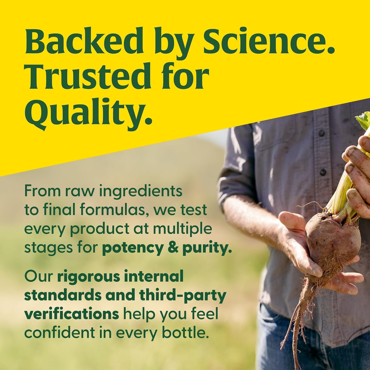 Megafood Whole Body Turmeric Curcumin Supplement - Turmeric Supplement with Black Pepper & Vitamin C - 475 Mg Curcuminoids per Serving - Antioxidant & Immune Support - Vegan - 90 Tablets, 45 Servings