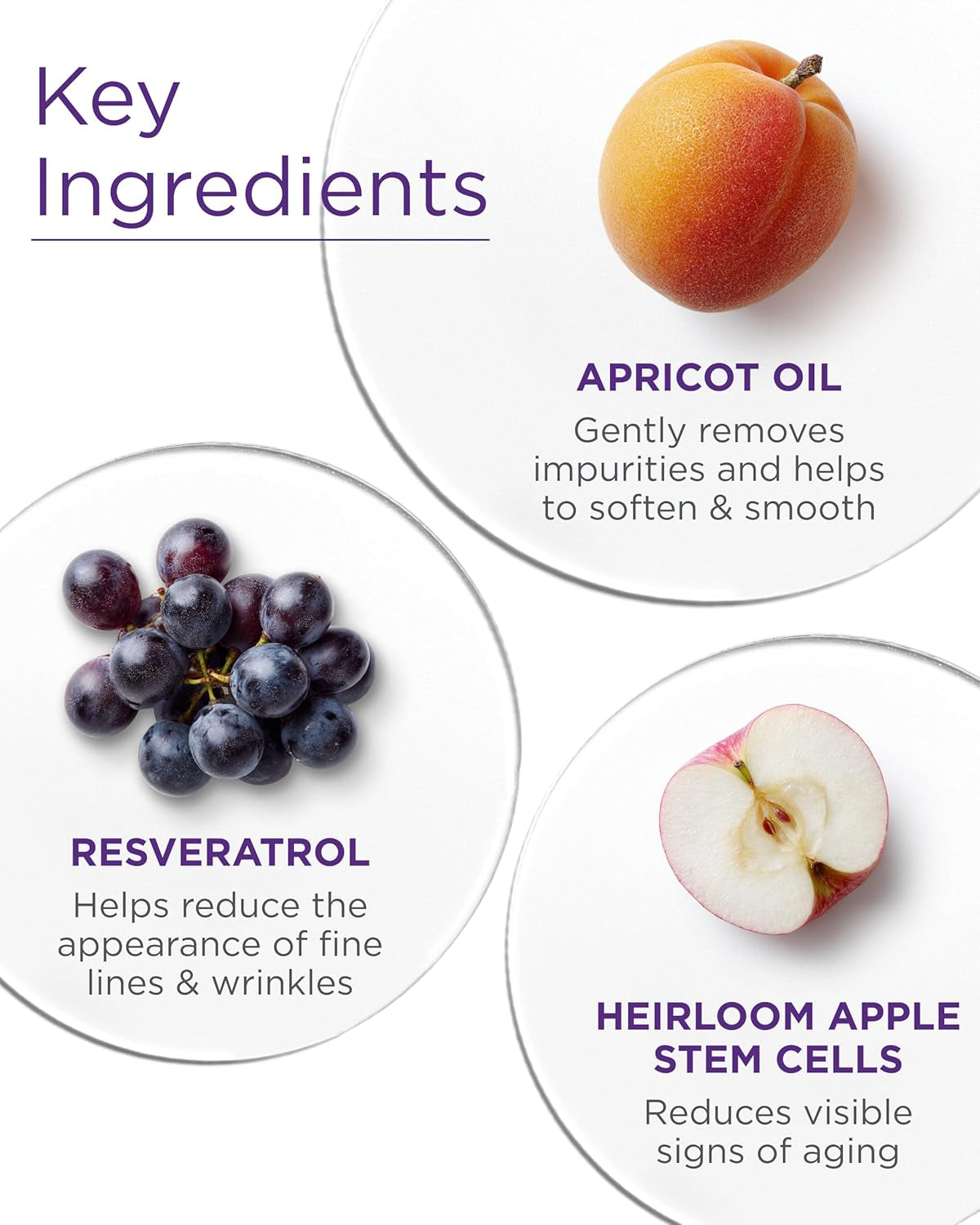 Andalou Naturals Age Defying Apricot Probiotic Cleansing Milk | Gentle Daily Hydrating Face Cleanser for Dry, Dehydrated Skin| with Fruit Stem Cell Complex | 6 Fl Oz