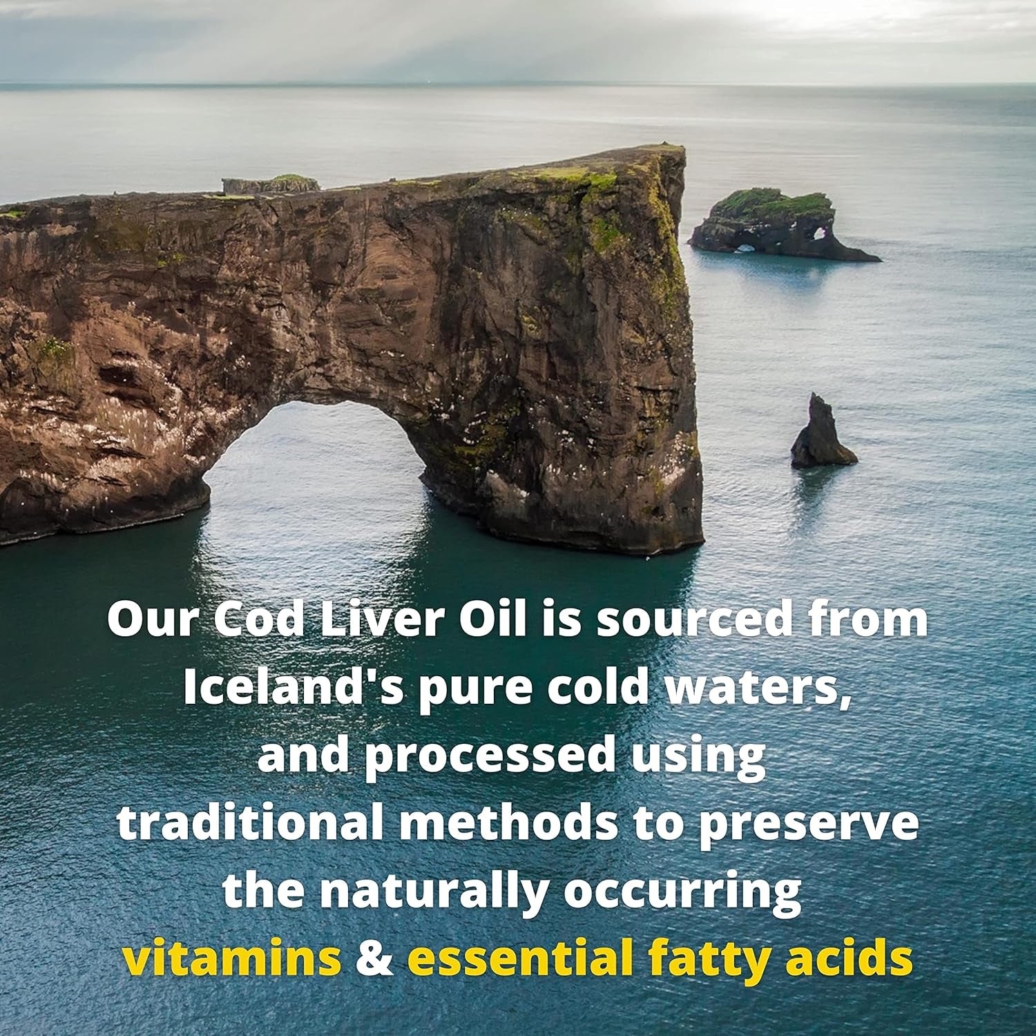 Garden of Life Olde World Icelandic Cod Liver Oil Liquid - Lemon Mint Flavor - 1,000Mg Omega 3 Fish Oil, Fatty Acids, EPA, DHA, Vitamin D & A, CLO Supplements for Hearth Health, 47 Servings
