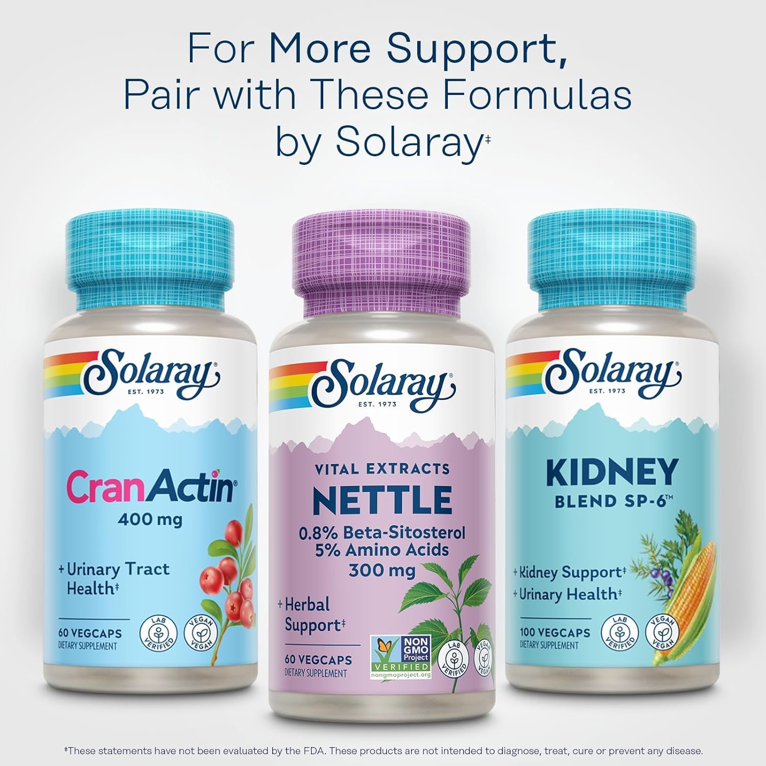 SOLARAY Nettle Root Extract 300 Mg with Nettle Root 150 Mg, Healthy Urinary & Prostate Support for Men with Amino Acids and Beta-Sitosterol, Vegan, 60-Day Guarantee, 60 Servings, 60 Vegcaps