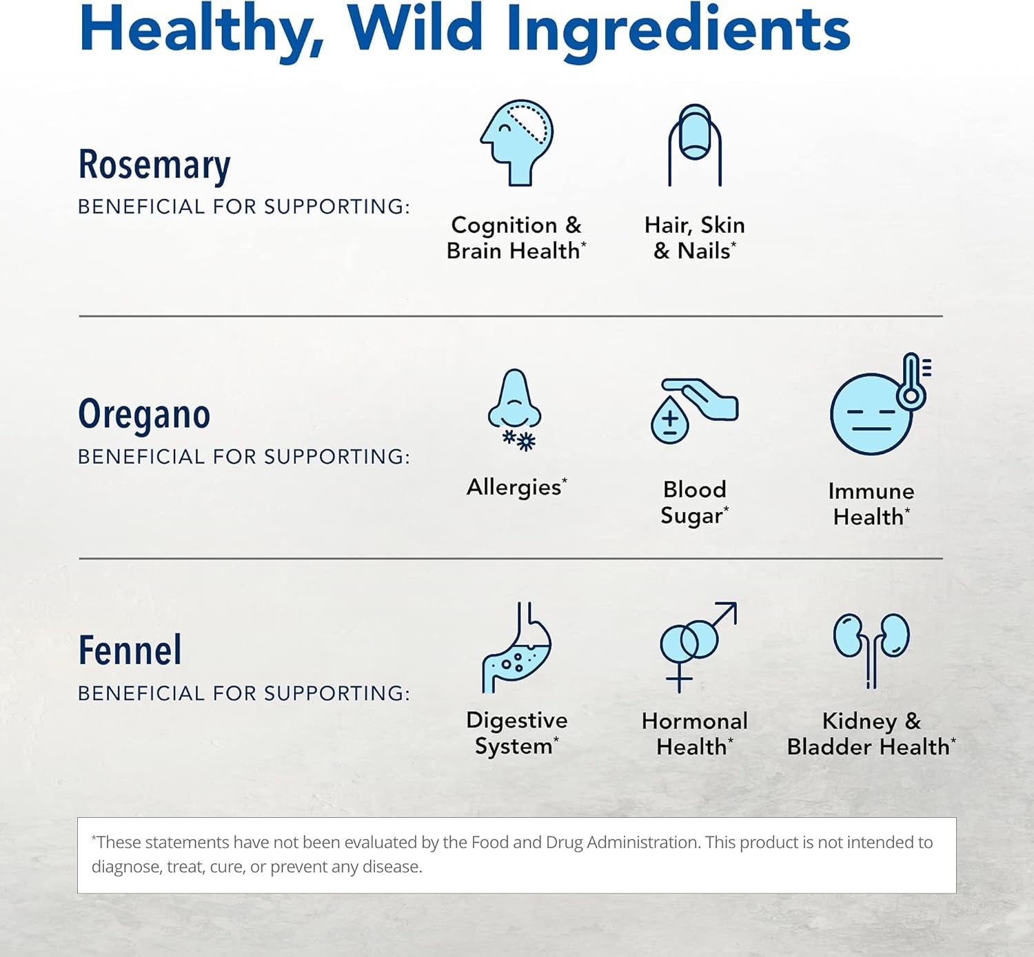 NORTH AMERICAN HERB & SPICE Livaclenz - 1 Fl. Oz. - Wild Spice Oils - Healthy Liver & Gallbladder Support - Non-Gmo - 24 Servings