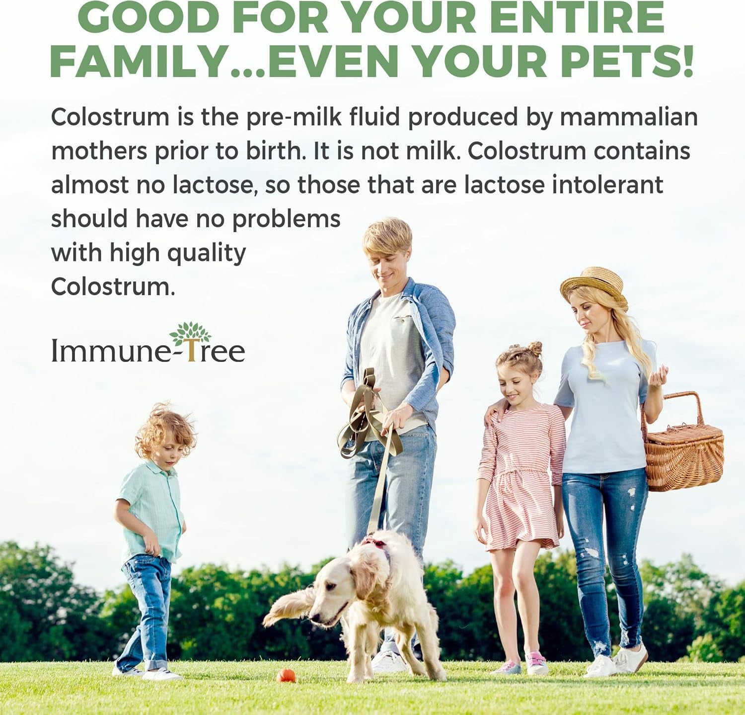 100% Bovine Colostrum Powder, 120 Servings, 6.5Oz, Supports Anti-Aging, Healthy Immune System, Gut & Digestion, Muscle & Tissue, & Wellness, Made in USA from Grass Fed, Grade a Dairy Cows