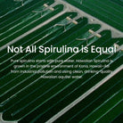 Nutrex Hawaii, Pure Hawaiian Spirulina 500 Mg, Vegan, Supports Immune System, Heart, Cells and Energy, 400 Tablets