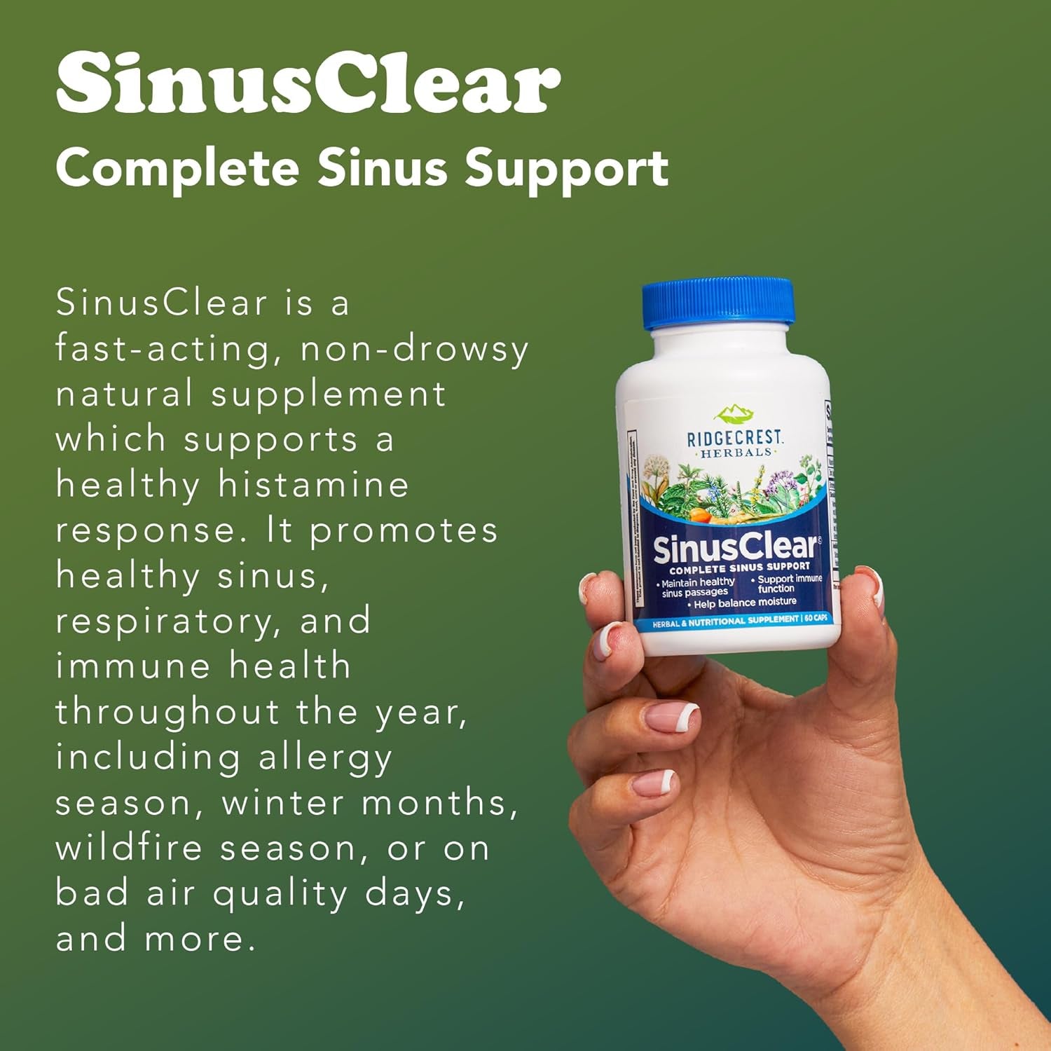 Ridgecrest Herbals Sinusclear, Complete Formula for Sinus and Nasal Health with Mullein Leaf, Bromelain, Vitamin C, and Zinc, for Healthy Mucus, Immune & Respiratory Support, (60 Veg Caps, 30 Serv)