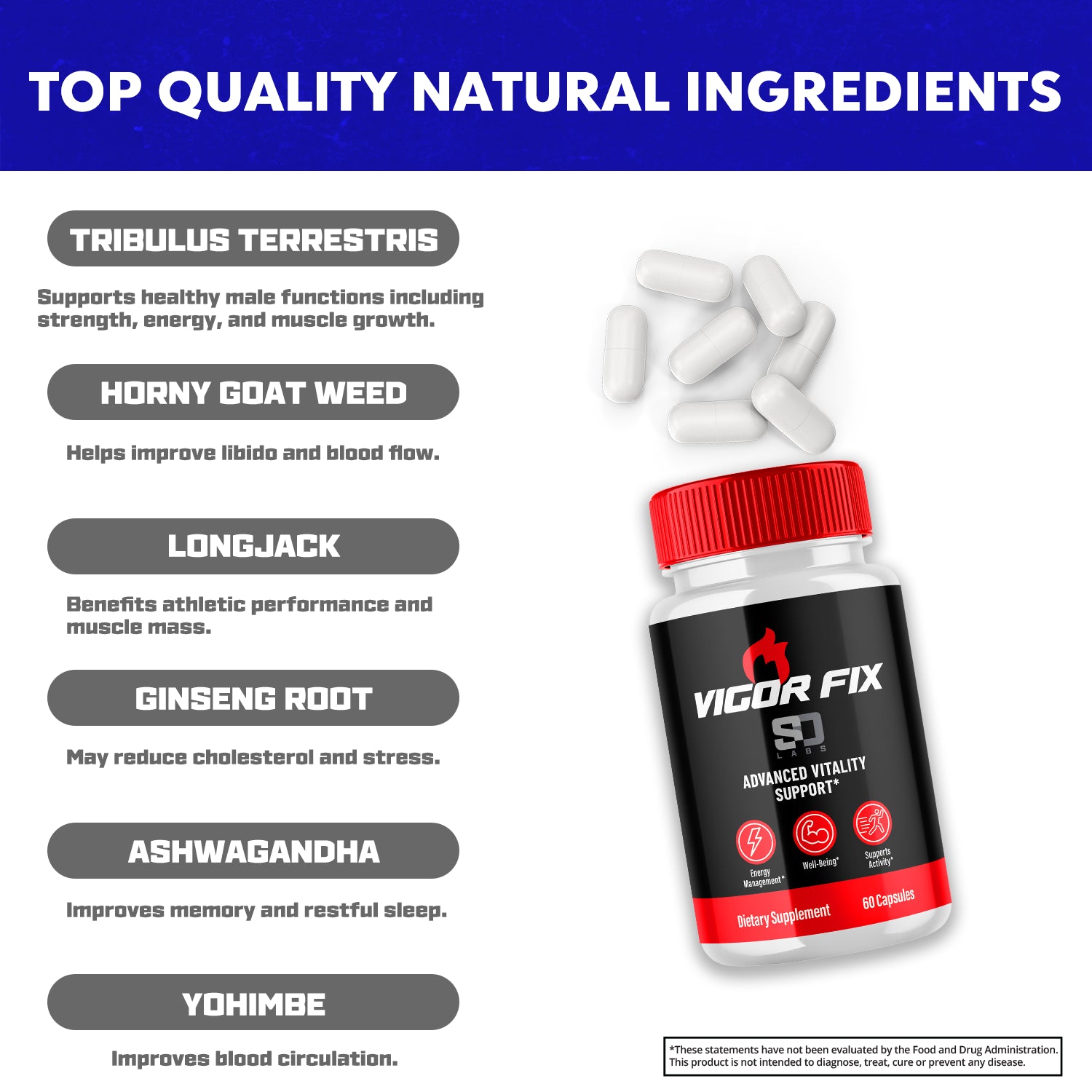 Vigor Fix Male Health Pills - Boost Masculine Vitality and Performance (1 Pack)