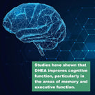 Lifelink DHEA Monodea (Dehydroepiandrosterone) | 50 Mg X 100 Capsules | Hormone Support, Anti- Aging | Made in the USA