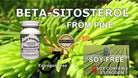 ® Beta-Sitosterol Formula - Results without a Prescription. It'S All Natural, No Binders, No Fillers, or Unproven Ingredients. Non-Gmo, Soy-Free, Gluten Free