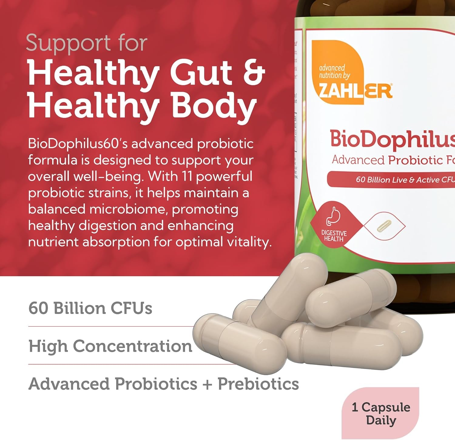 Zahler Biodophilus, 60 Billion Live Cultures per Serving, Supports Digestive Health,Certified Kosher, 30 Capsules