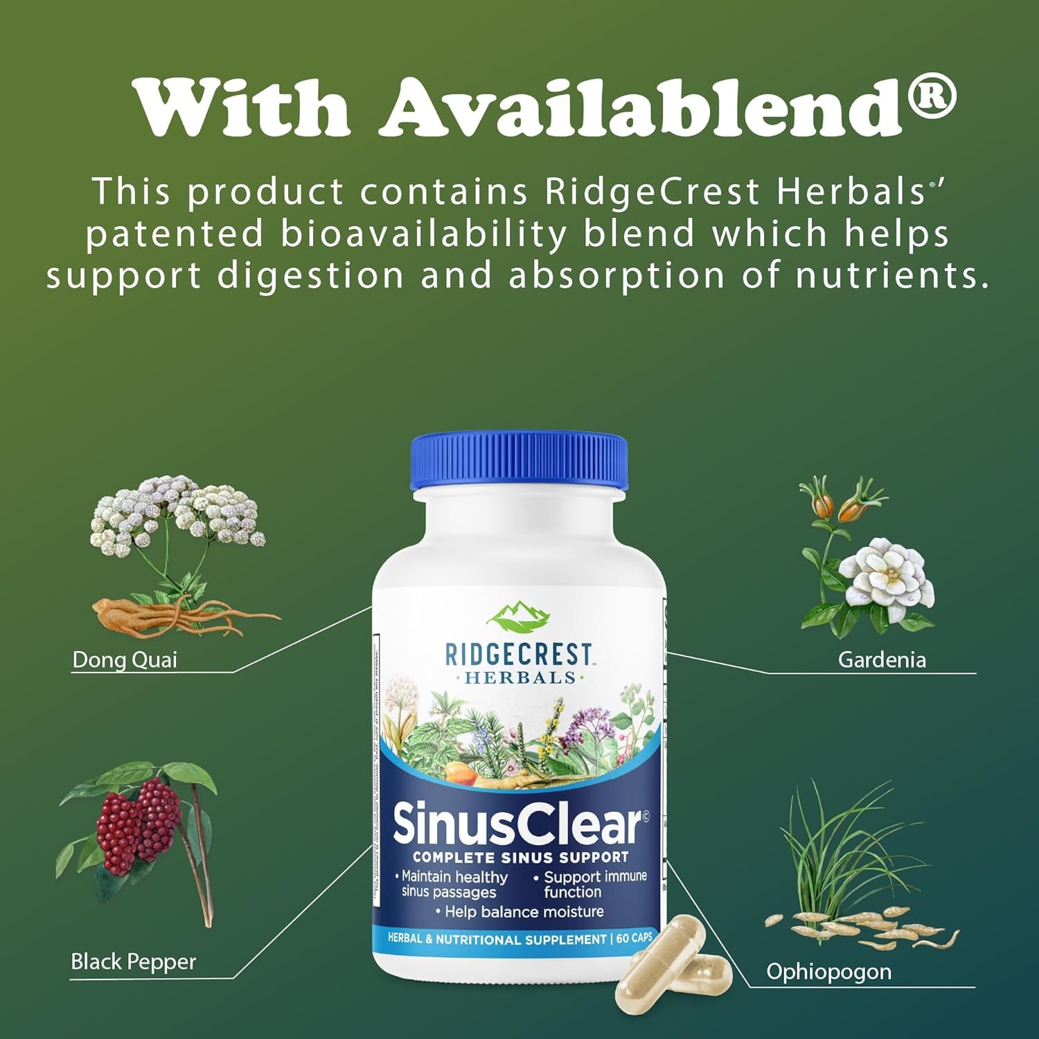 Ridgecrest Herbals Sinusclear, Complete Formula for Sinus and Nasal Health with Mullein Leaf, Bromelain, Vitamin C, and Zinc, for Healthy Mucus, Immune & Respiratory Support, (60 Veg Caps, 30 Serv)