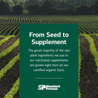Standard Process Cyruta - Healthy Metabolic Process & Circulation Support Supplement - Healthy Heart Supplement with Organic Buckwheat Flour & Bovine Adrenal Cytosol Extract - 90 Tablets