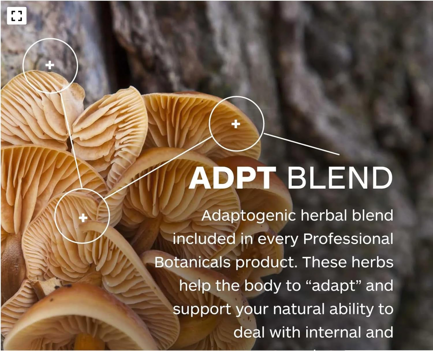 Professional Botanicals Lymph Detox – Clinically Formulated Lymphatic Drainage & Cleanse Support | Natural Herbal Detox Supplement for Lymphatic System Health