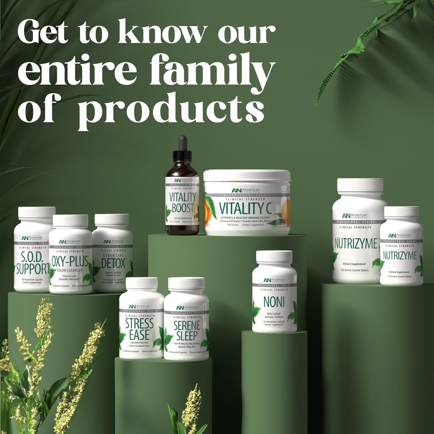 Vitality C American Nutriceuticals - Nutrizyme- Proteolytic Enzymes for Recovery Support - Supports Healing Processes, Circulation, Immunity - Bolsters Digestion - 450 Capsules / 5 Month Supply