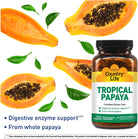 Country Life - Natural Tropical Papaya Enzyme - 500 Chewable Wafers