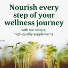 Megafood Daily Turmeric Nutrient Booster Powder - Turmeric Supplement -With Black Pepper Extract, Tart Cherry & Vitamin C - Vegan - Made without 9 Food Allergens - 2.08 Oz (30 Servings)