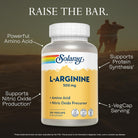 SOLARAY L-Arginine 500 Mg, Nitric Oxide Supplement, Endurance, Energy, Heart Health Support, 100 Servings, 100 Vegcaps