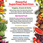 Ruby Reds | Delicious Reds Powder Fruit & Vegetable Supplement with Potent Vitamins, Minerals, Enzymes, Herbs, Nutrients and Probiotics for Overall Health 11 Oz. (30 Servings)