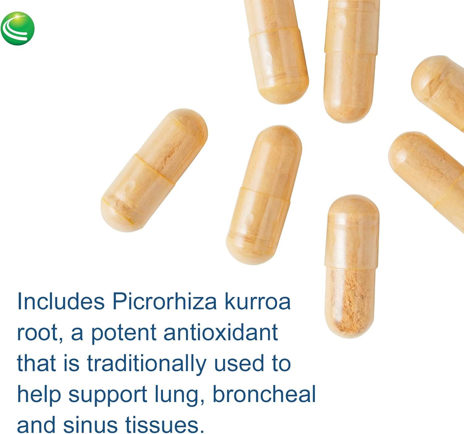 Nutra Biogenesis Pulmonary Factors - NAC & Boswellia Extract Capsules, Digestive Cleanse Support and Joint Comfort for Adults - 90 Veggie Capsules