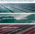 Nutrex Hawaii, Pure Hawaiian Spirulina 500 Mg, Vegan, Supports Immune System, Heart, Cells and Energy, 400 Tablets