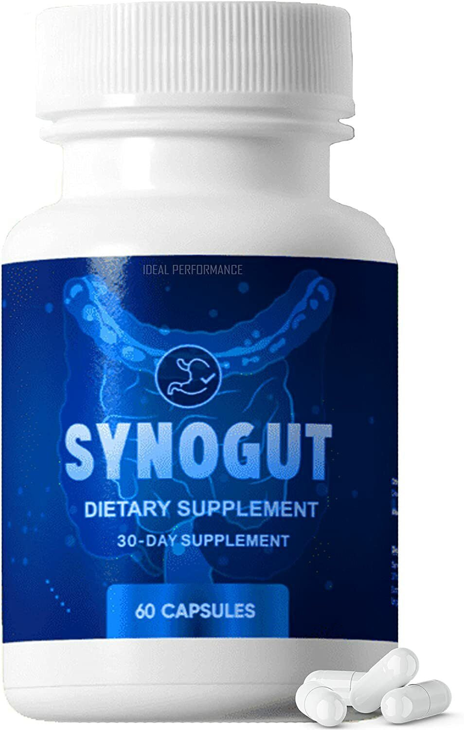 Synogut Pills Dietary Supplement for Gut Health (60 Capsules)