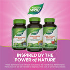 Nature'S Way Fenugreek Seed Supplement, Fenugreek for Traditional Breastfeeding Lactation Support*, Non-Gmo Project Verified, Vegan, 180 Capsules (Packaging May Vary)