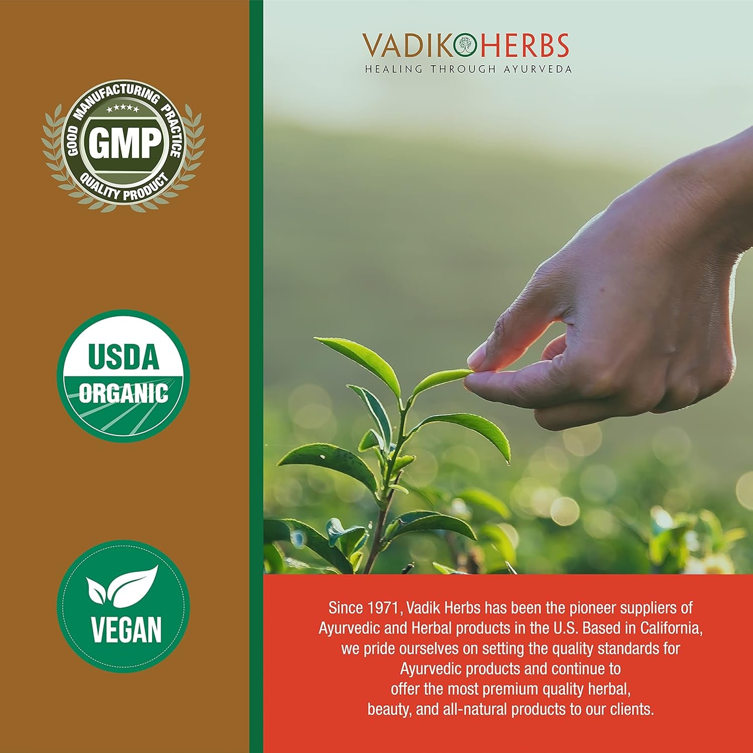 Vadik Herbs Pure Wild Harvested Manjistha (Rubia Cordifolia, Indian Madder) - 100 Vegicaps - Made in USA - Safety Tested - No GMO, Vegan
