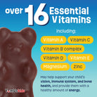 YUM-V'S - Kids Multivitamin Chewable Chocolate Bears - Multivitamin for Kids Supplement - 16 Vitamins & Minerals - Vitamins Including D, Zinc, C, B Complex & More, 60 Count Pack of 1