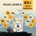 1400 MG Shilajit Gummies, Shilajit Pure Himalayan Organic Gummies with Ashwagandha, Himalayan Shilajit for Men, 85+ Trace Minerals & Fulvic Acid, Individually Wrapped, Sugar-Free, 60 Counts