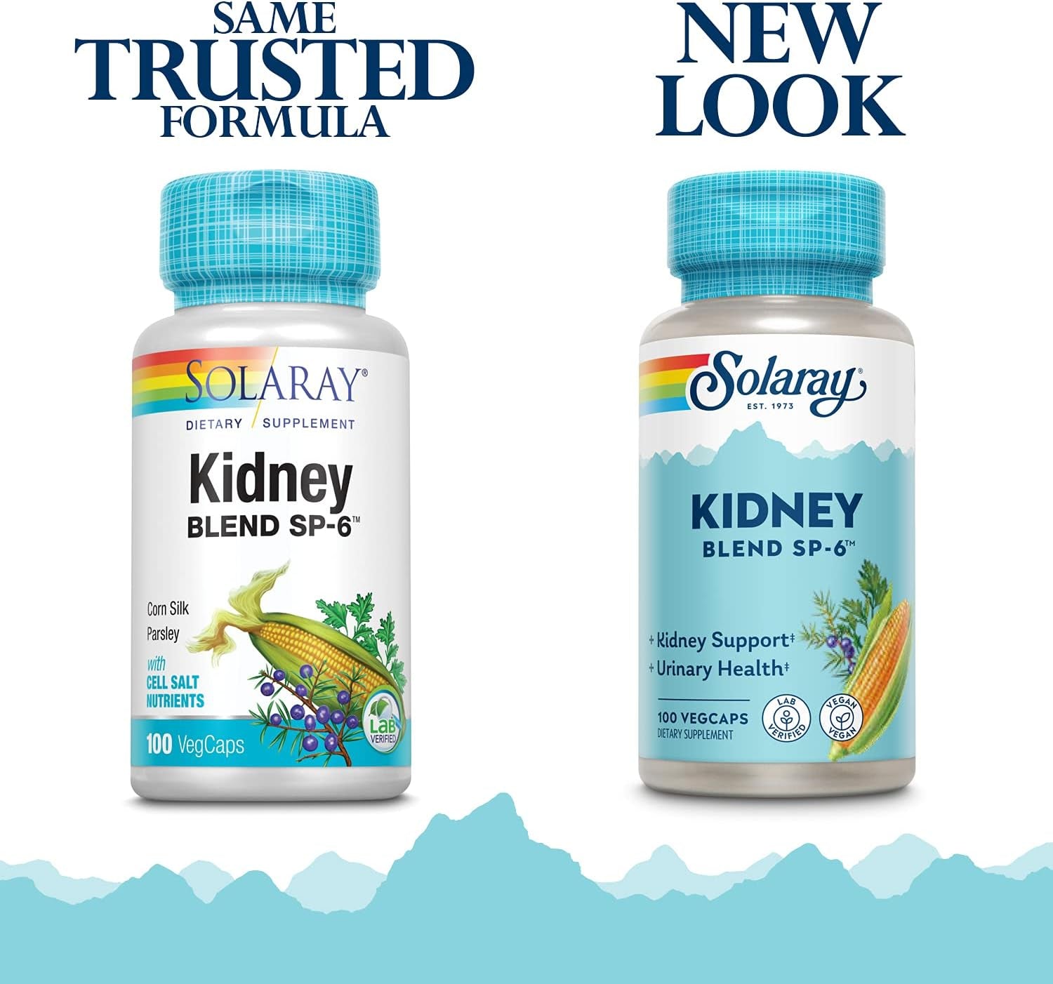 SOLARAY Kidney Blend SP-6 | Herbal Blend W/Cell Salt Nutrients to Help Support Healthy Kidney Function | Non-Gmo, Vegan (1 Pack)
