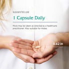 Vitanica Flora Symmetry, Shelf Stable Probiotic Supplement, Dr Formulated Probiotics for Women, Probiotics for Men and Adults, Acidophilus Probiotic, Non-Gmo, Vegan, 60 Capsules