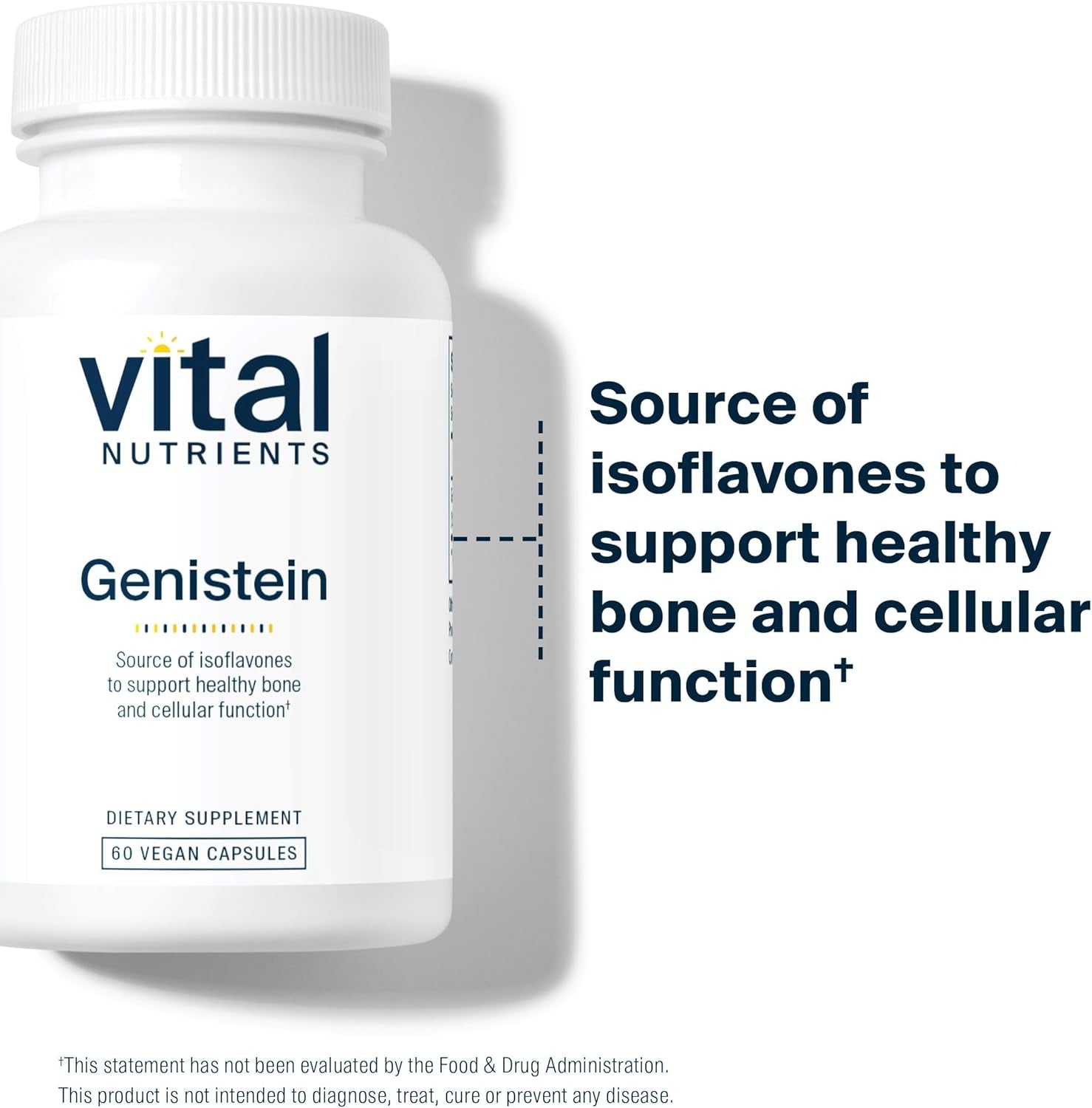 Vital Nutrients Genistein | Easily Absorbed Isoflavones for Bone Health Support* | Vegan Supplement | Gluten and Dairy Free | Non-Gmo | 60 Capsules