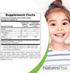 Naturesplus Animal Parade Sugar-Free Children'S Vitamin C, Natural Orange Juice Flavor - 90 Chewable Animal Shaped Tablets - Immune Support - Gluten Free - 45 Servings
