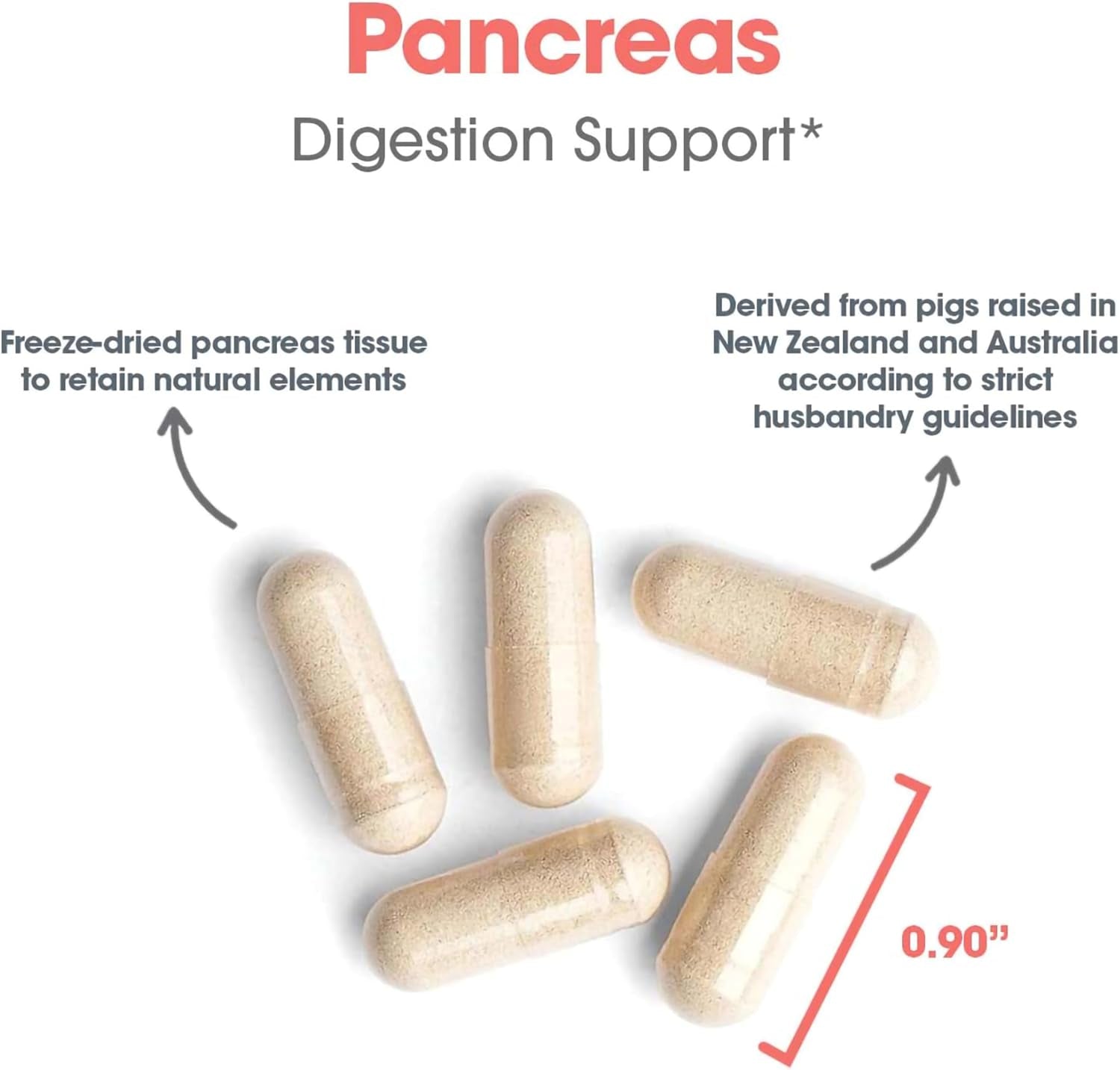Allergy Research Group Pancreas Supplement - Pancreatic Enzymes for Women and Men, Digestive Pork Pancreas Powder Capsules, Healthy Digestion Support - 720 Capsules