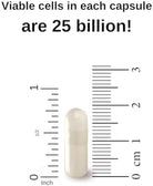 Genesis LABORATORIES Probiotic Supplement with Bifidobacterium Spp. 250 Mg 30 Capsules Immune Support Gut Health Probiotics for Digestive Health anti Bloating for Men and Women Gut Restore Probiotic