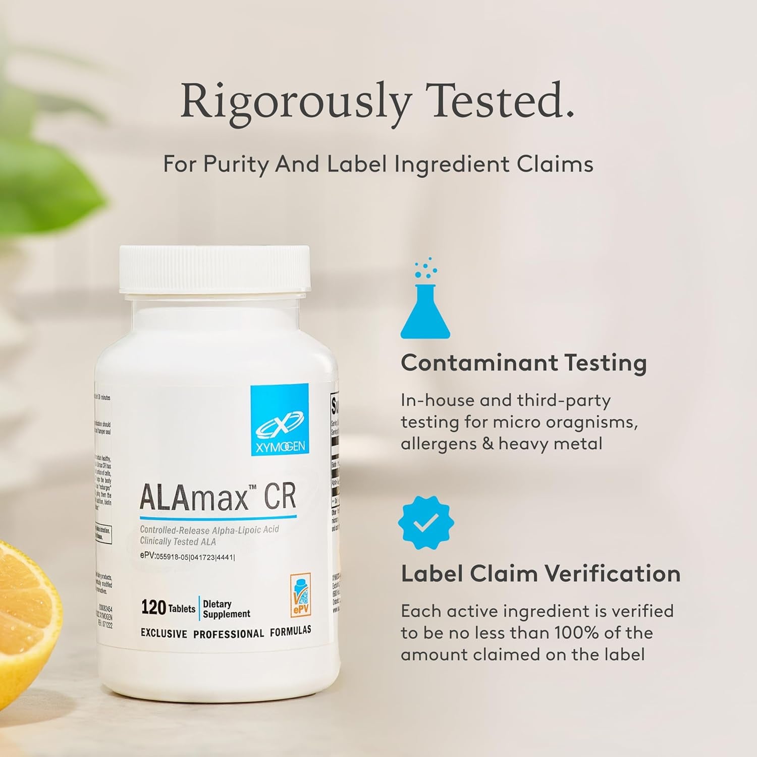 XYMOGEN Benfotiamine 300Mg - Highly Bioavailable Thiamine B1 Supplement Derivative to Support Metabolic, Nerve + Vascular Health (120 Capsules)