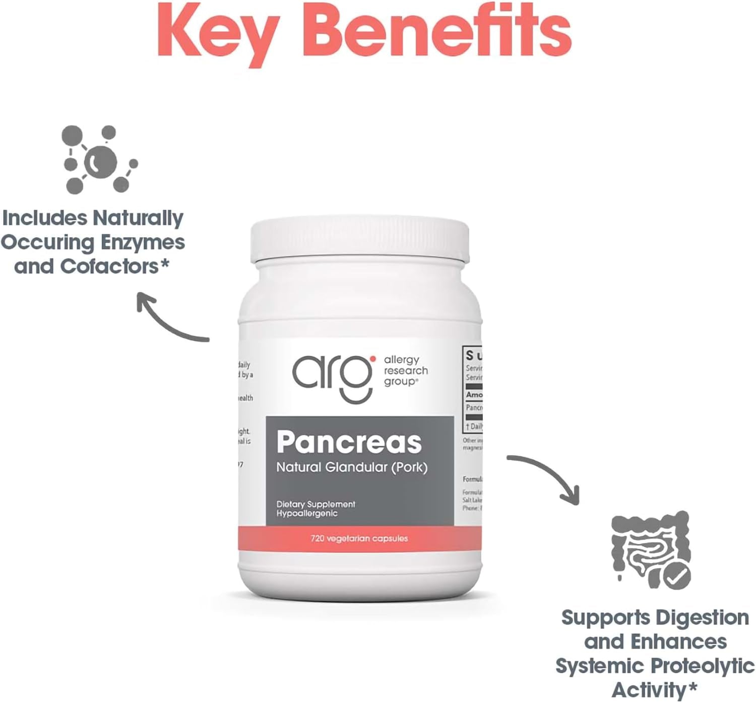 Allergy Research Group Pancreas Supplement - Pancreatic Enzymes for Women and Men, Digestive Pork Pancreas Powder Capsules, Healthy Digestion Support - 720 Capsules