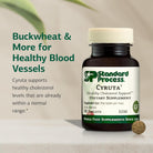 Standard Process Cyruta - Healthy Metabolic Process & Circulation Support Supplement - Healthy Heart Supplement with Organic Buckwheat Flour & Bovine Adrenal Cytosol Extract - 90 Tablets
